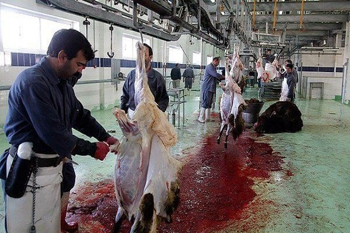 کشتارگاه شهرداری