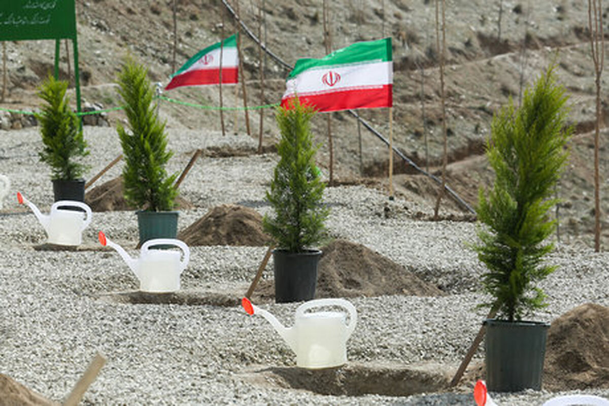 کمربند سبز