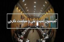 وزارت امور خارجه به قانون مجلس درباره تعلیق همکاری با آژانس اتمی عمل کند