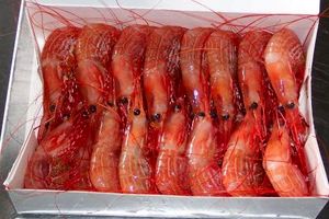 حجم صادرات غیر نفتی هرمزگان به 800 دلار رسید