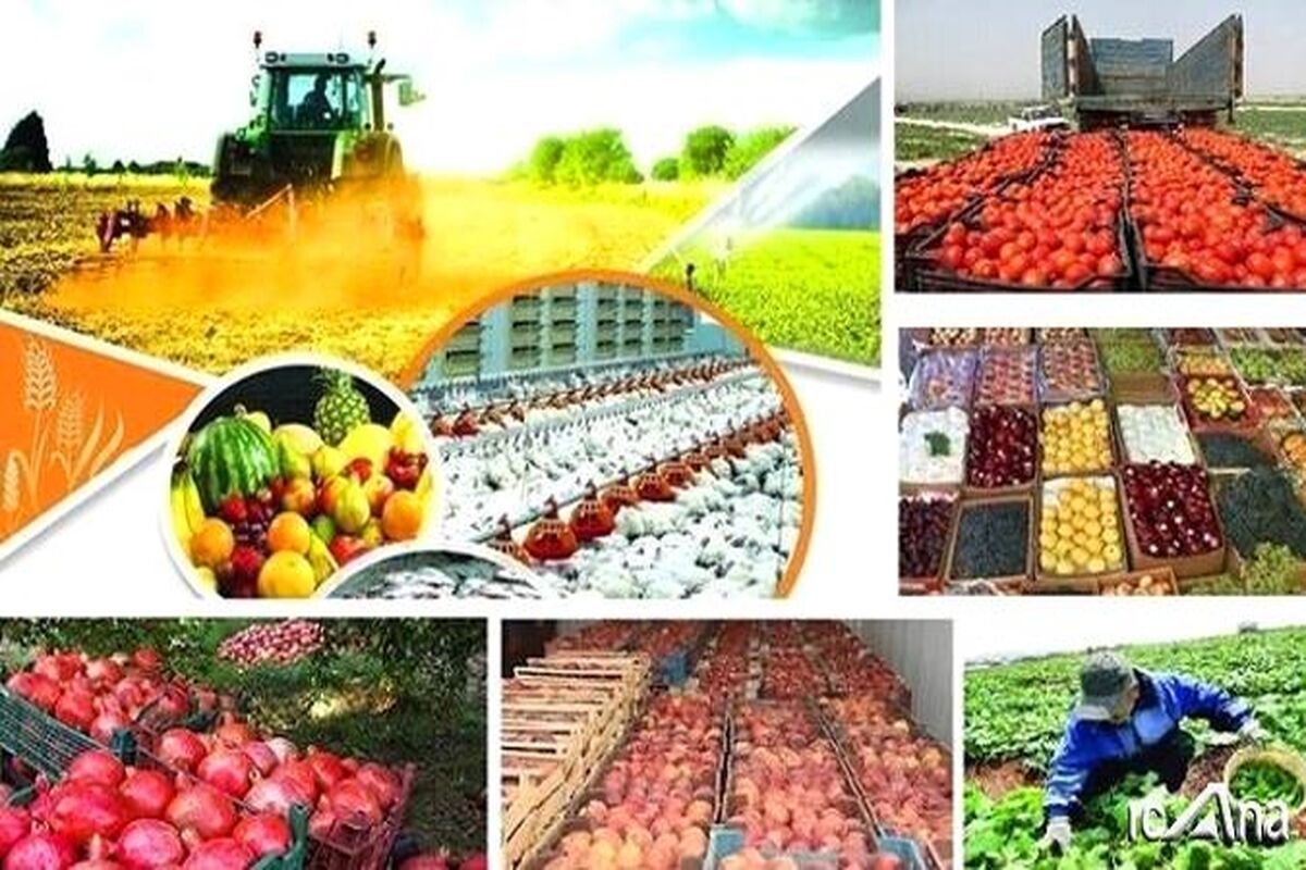 واردات محصولات کشاورزی