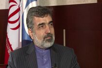 عدم اجرای پروتکل الحاقی باعث ابهام در برنامه هسته ای ما خواهد شد