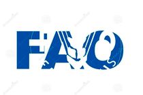 تحلیل نماینده فائو از بحران آب در ایران