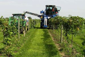 باید بهره‌وری در حفظ محیط زیست را بالا برد 