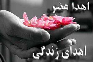 اهدای اعضای زن جوان اصفهانی به چهار بیمار نیازمند