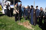 پویش ملی درختکاری «سرو ایران» در چهارمحال و بختیاری برگزار شد