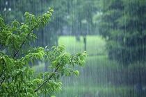 پیش بینی بارش پراکنده و وزش باد در شمال غرب کشور 