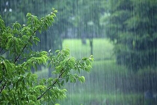 آسمان در اغلب مناطق کشور صاف خواهد بود