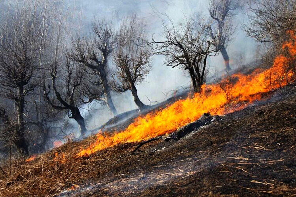 مهار موارد آتش‌سوزی در خراسان رضوی