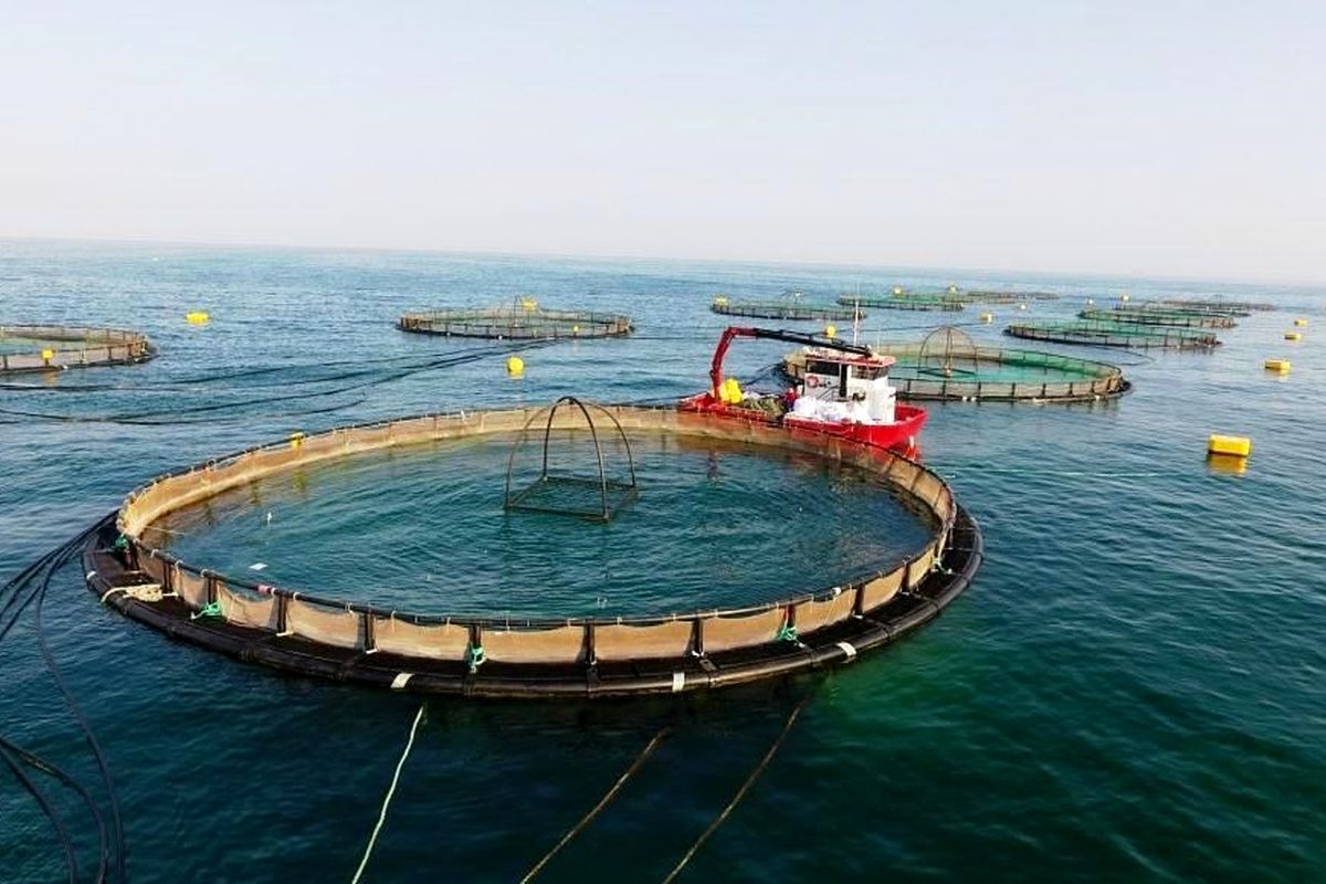 a224f5c4-221d-4796-a57f-804ab16155e0