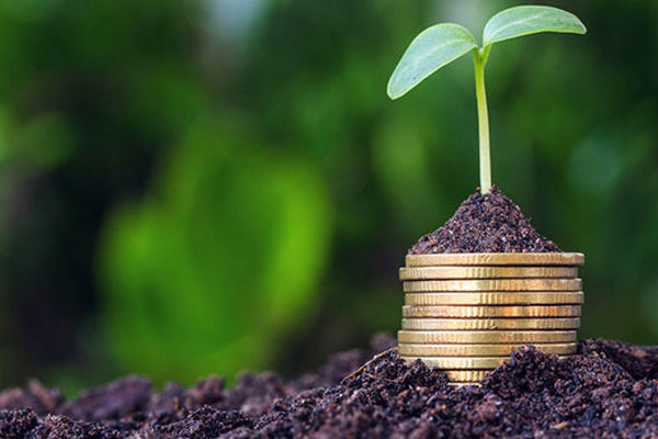  مهلت پرداخت اقساط بیمه کشاورزی افزایش یافت