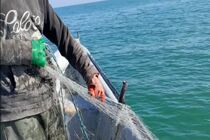 ۹ فروند قایق صیادی غیرمجاز در آب‌های ساحلی جویبار توقیف شد