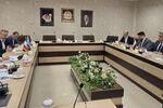 ایران حامی مردم و دولت عراق است