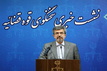 میلاد حاتمی به اتهام افساد فی الارض، پولشویی و اخلال در نظام ارزی در بازداشت است/ الکس به اعدام محکوم شد