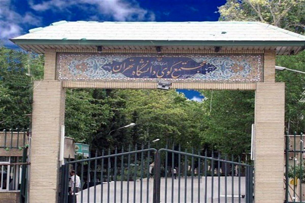 کوی دانشگاه تهران