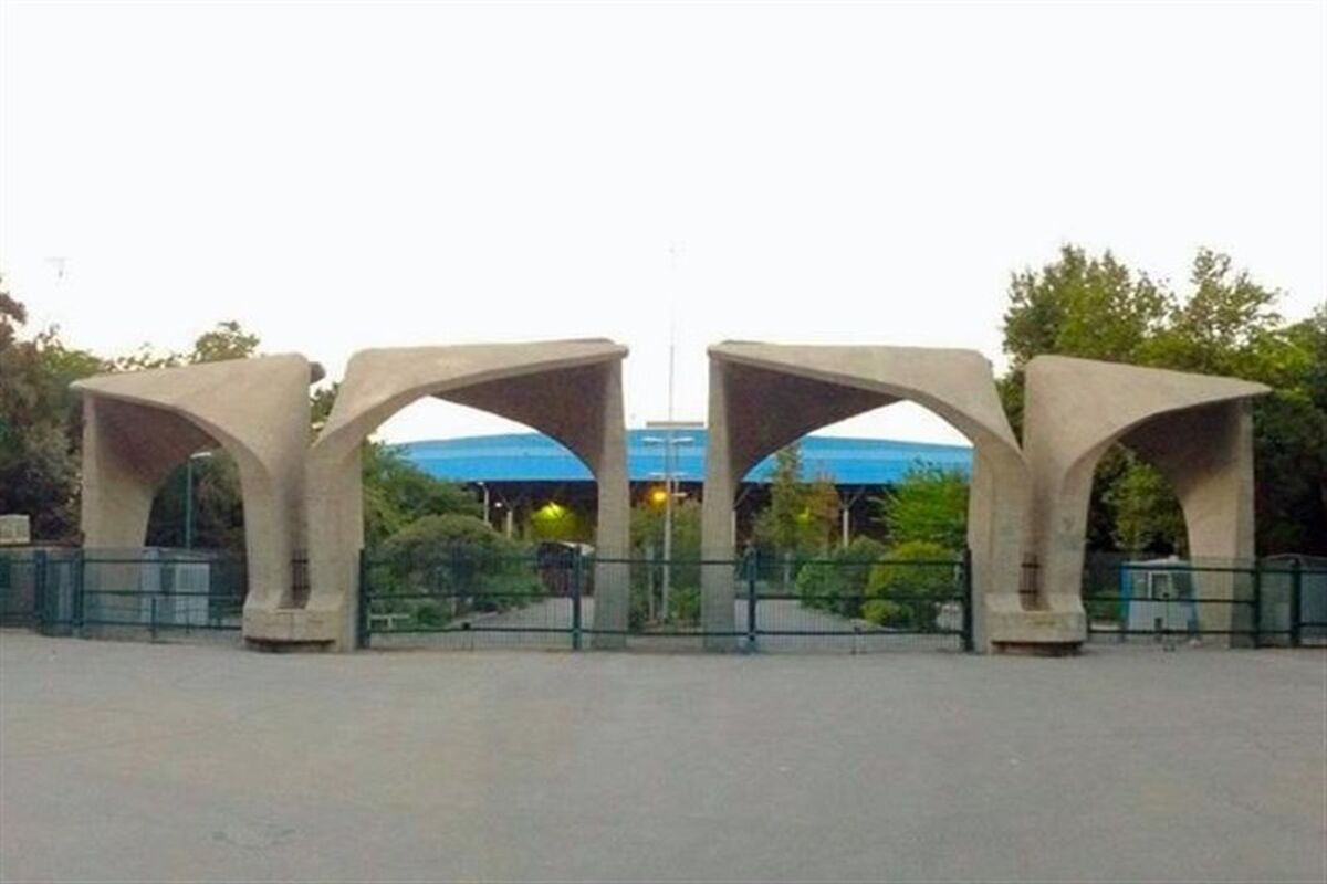دانشگاه