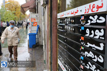 اختلاف ارز نیمایی و بازار آزاد دردسر بانک مرکزی / موفقیت رئیس کل بانک مرکزی مشروط به همراهی شرکت های صادراتی