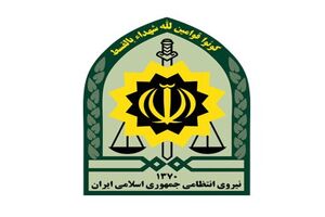 هفته ناجا فرصت مغتنمی برای معرفی اقتدار و کارآمدی پلیس است