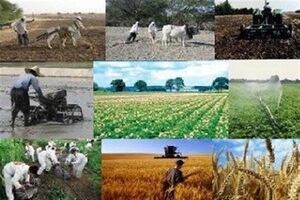 مبادلات بانکی مهمترین مانع تجارت غذا و دارو