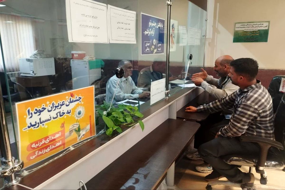 شهرداری شیراز
