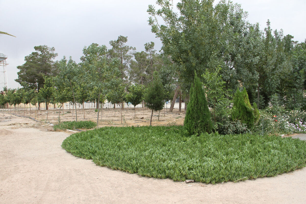 فضای سبز