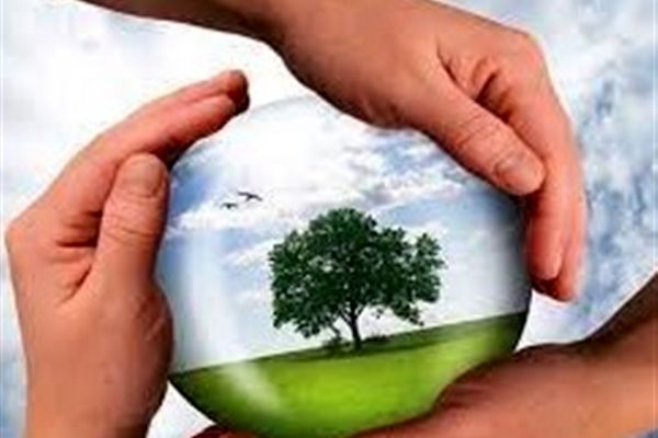 بر نقش سمن‌ها در توسعه پایدار محیط زیست تاکید می شود