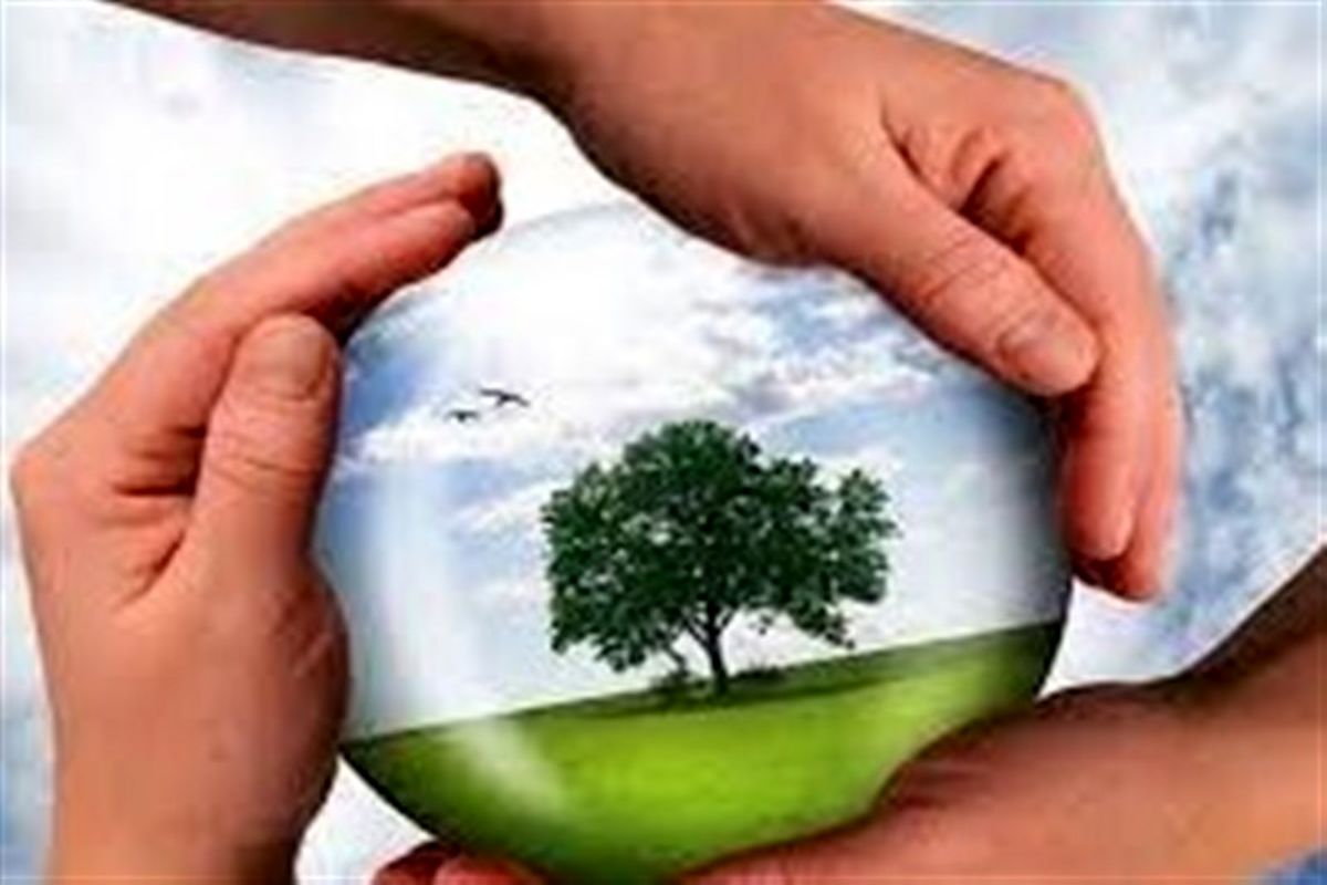 شورای عالی محیط زیست