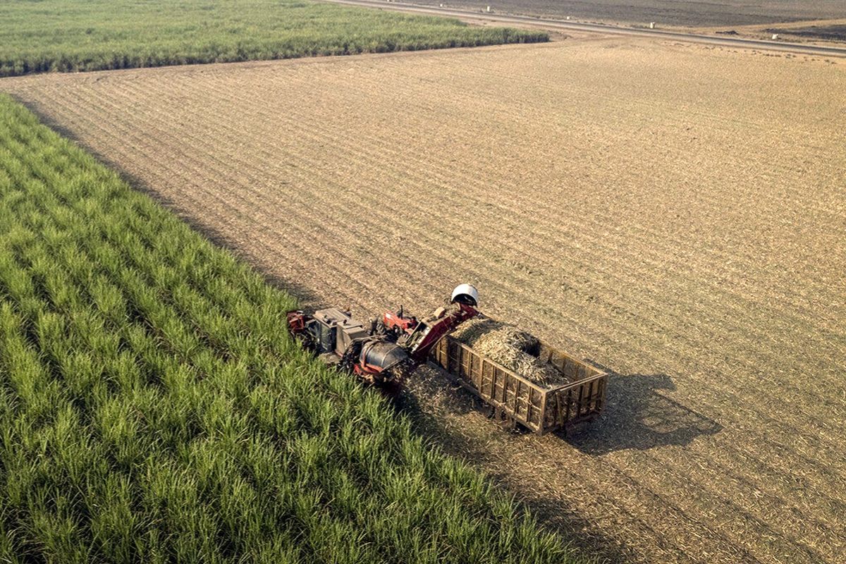 جهاد کشاورزی قم