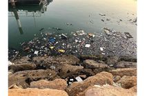 جمع‌آوری 12 تن زباله طی یک مانور پاکسازی در بندر شهید باهنر