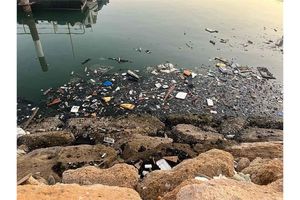 جمع‌آوری 12 تن زباله طی یک مانور پاکسازی در بندر شهید باهنر