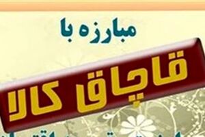 کشف بیش از 2 تن گوشت قاچاق در نهاوند