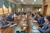 معاون سیاسی امنیتی استانداری گیلان با سرکنسول روسیه در رشت دیدار کرد