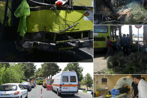 تصادف اتوبوس شرکت واحد تهران با درختان! / شهرداری: پول نداریم؛ همین که هست؟!