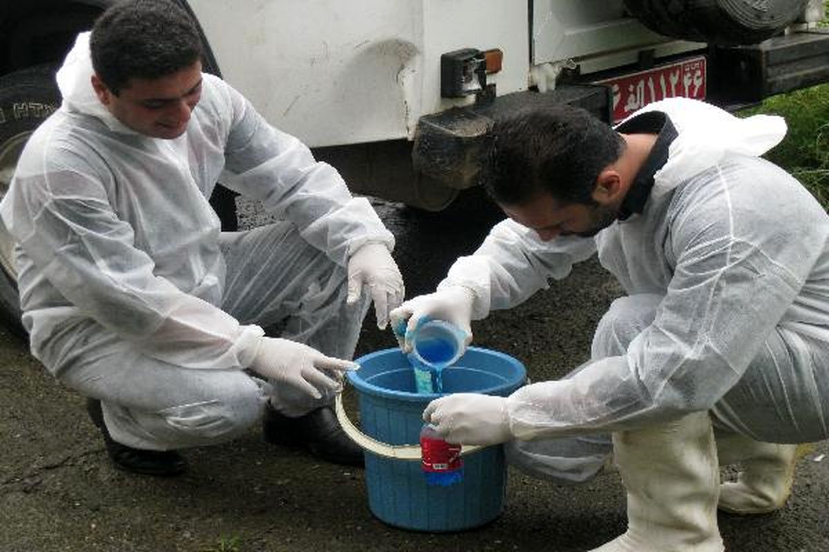 طرح واکسيناسيون نيوکاسل-سياهکل