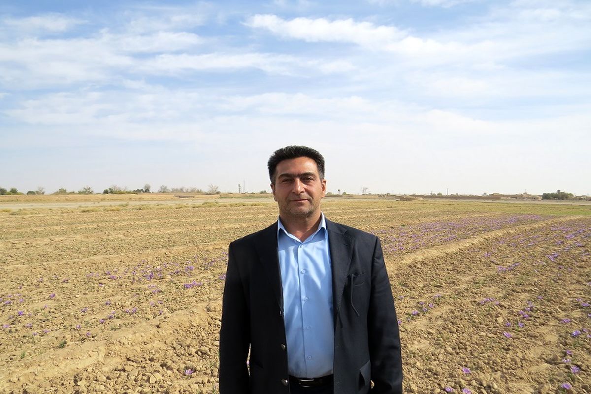 فرهاد سرداری