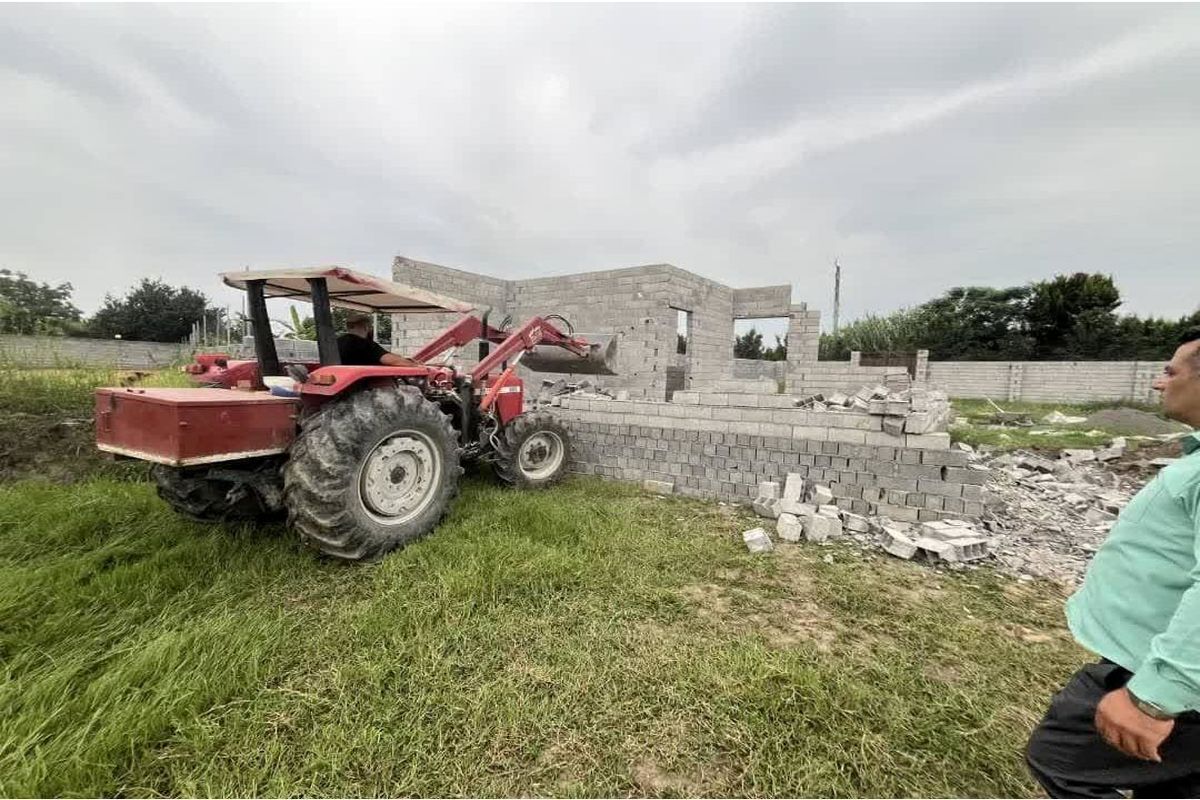 جهاد کشاورزی آمل