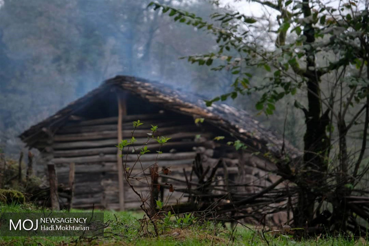 نمایشگاه عکس زندگی به روایت طبیعت