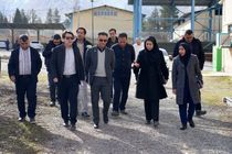 رفع موانع عملیاتی و پشتیبانی، اولویت اصلی شرکت گاز استان ایلام است