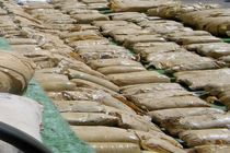 دستگیری توزیع کننده مواد مخدر با بیش از 116 کیلوگرم تریاک