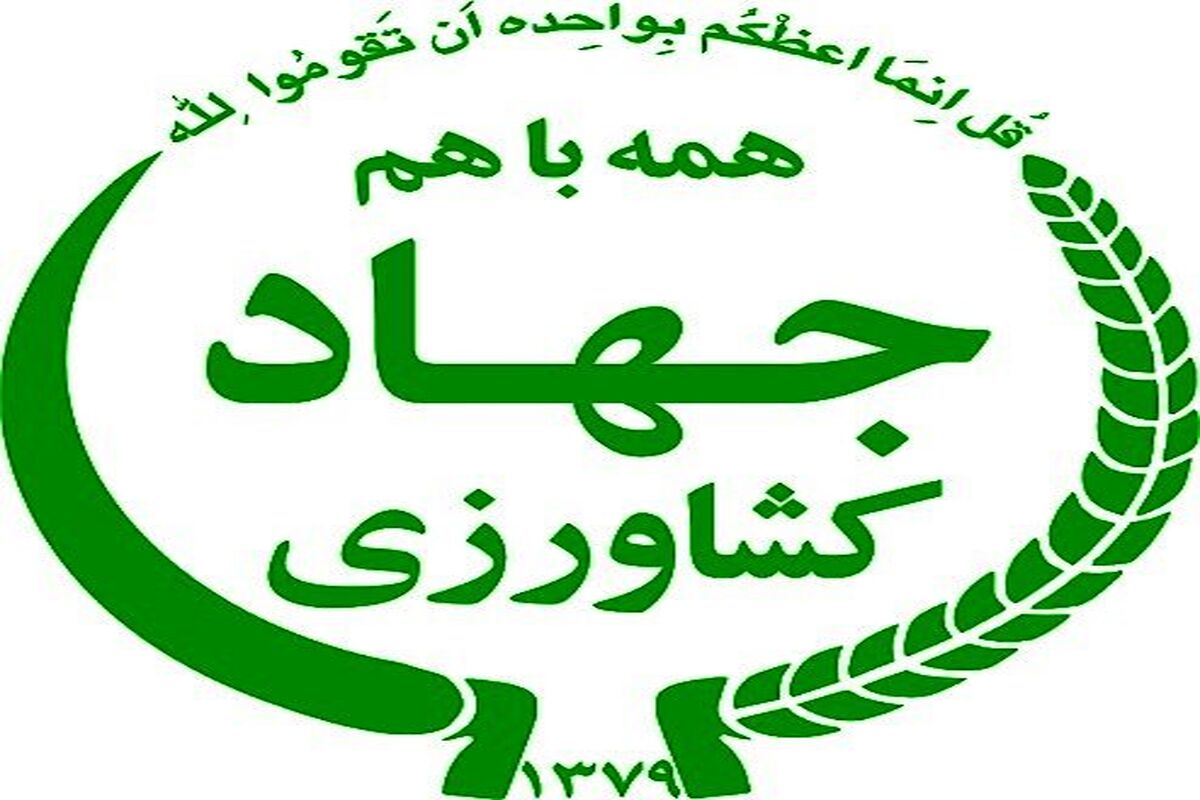 کشاورزی
