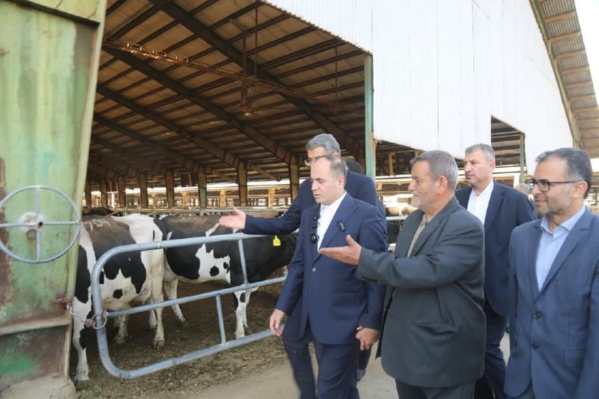 وزیر جهاد کشاورزی