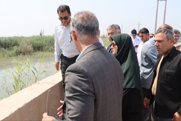 رئیس سازمان حفاظت محیط زیست از تالاب هورالعظیم بازدید کرد
