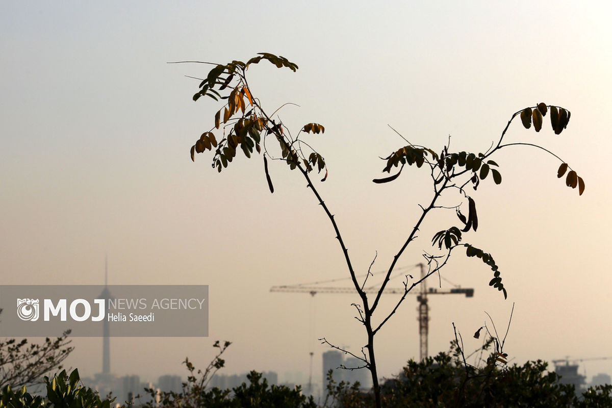 آلودگی هوای تهران