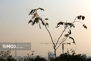 ذرات آلاینده در ۱۳ شهر خوزستان افزایش یافت 