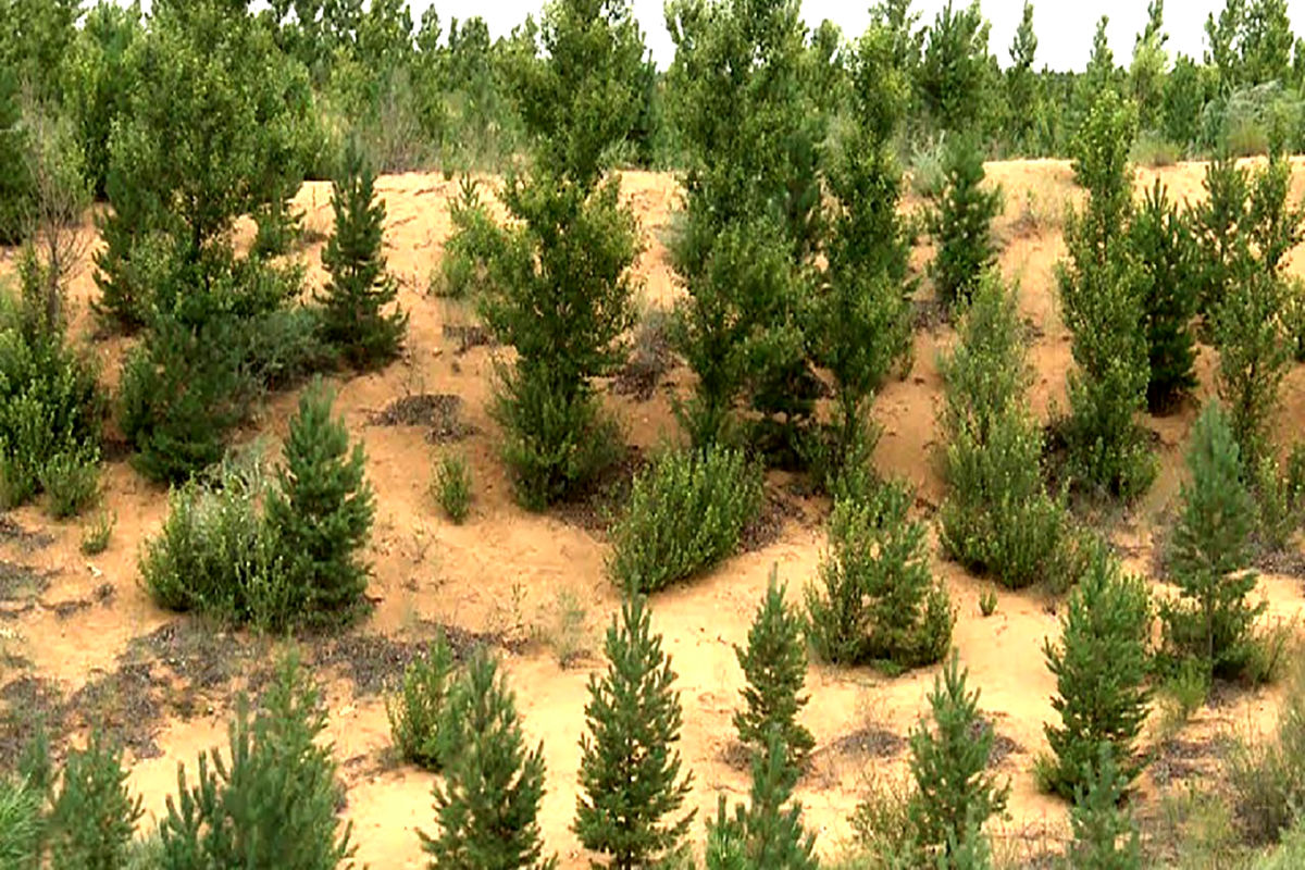 حفاظت از منابع طبیعی و بیابانزدایی