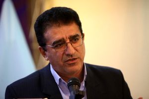 دبیر شورای فرهنگ عمومی درباره جشنواره‌های رضوی واکنش نشان داد