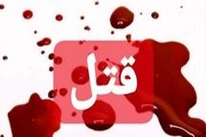 راز قتل عمد شهروند پارسیانی برملا شد