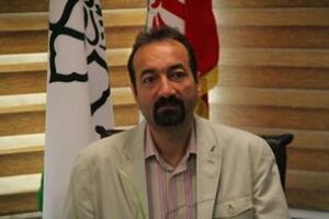 پل کریمخان تا مهرماه تغییر شکل می دهد