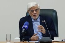 عارف با مسئولان ملی و استانی ستاد اربعین در مرز مهران گفتگو کرد