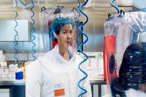 تحقیقات مشترک نهادهای اطلاعاتی آمریکا و انگلیس در مورد ویروس کرونا